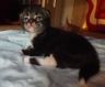 Amaro, 14 Tage alt