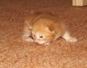 DSCF0928.jpg