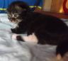 DSCF0929.jpg