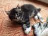 DSCF1071.jpg