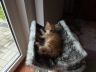 DSCF1108.jpg