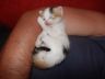 DSCF1043.jpg