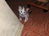 DSCF1083.jpg