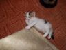 DSCF1088.jpg