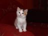 DSCF1248.jpg