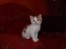 DSCF1249.jpg