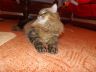 DSCF2493.jpg