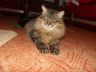 DSCF2494.jpg