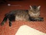 DSCF2495.jpg