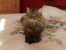 DSCF5122.jpg