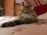 DSCF5126.jpg