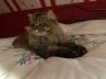 DSCF5127.jpg