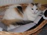 Bella-24-11-1.jpg