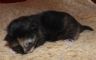 DSCF2523.jpg