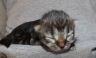 DSCF2562.jpg