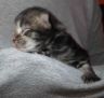 DSCF2563.jpg