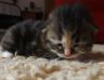 DSCF2574.jpg