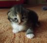 DSCF2641.jpg