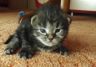 DSCF2646.jpg