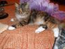 DSCF4190.jpg