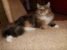 DSCF4253.jpg