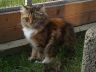 DSCF5117.jpg