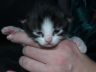 DSCF3891.jpg