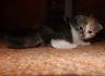 DSCF3961.jpg