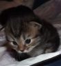DSCF3962.jpg