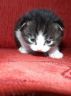 DSCF3976.jpg