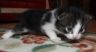 DSCF3986.jpg