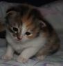 DSCF4007.jpg