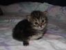 DSCF4008.jpg