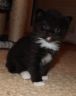DSCF4098.jpg