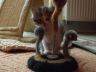 DSCF4132.jpg