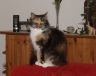 DSCF1286.jpg