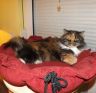 Donna-24-11-1.jpg