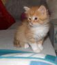 1605-flori3.jpg