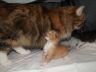 DSCF6795.jpg
