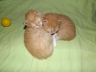 DSCF6813.jpg