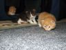 DSCF6864.jpg