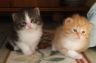 DSCF6879.jpg