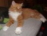 DSCF7757.jpg