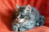 Frieda20210516 (8)_1200.jpg