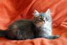 Frieda20210530 (1)_1200.jpg