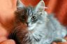 Frieda20210613 (2)_1200.jpg