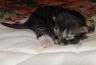 DSCF7735.jpg