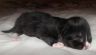 DSCF7750.jpg