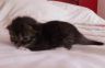 gerry-091016-2.jpg