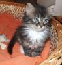 gerry201116-2.jpg